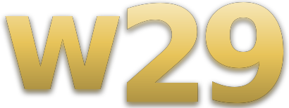 w29 logo